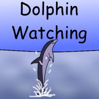 Dolphin watching